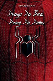 Spider-Man: Droga do Bez drogi do domu